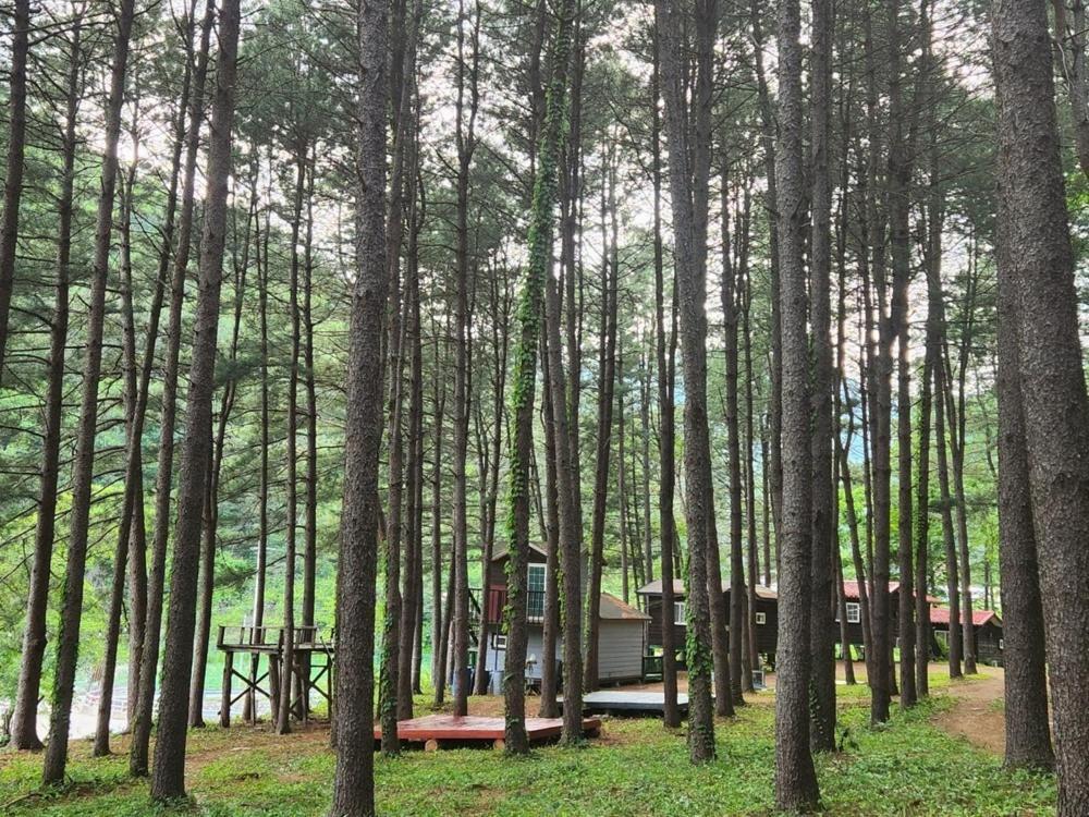 Hongcheon Gongjaksan Recreational Forest Pension Dış mekan fotoğraf