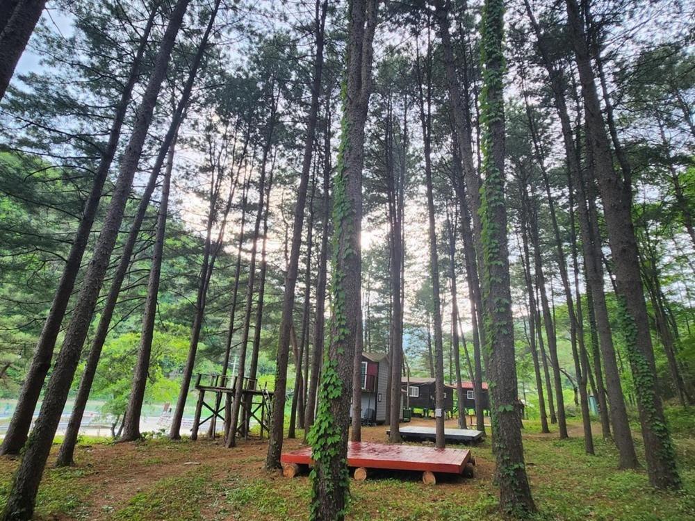 Hongcheon Gongjaksan Recreational Forest Pension Dış mekan fotoğraf