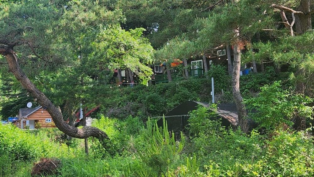 Hongcheon Gongjaksan Recreational Forest Pension Dış mekan fotoğraf